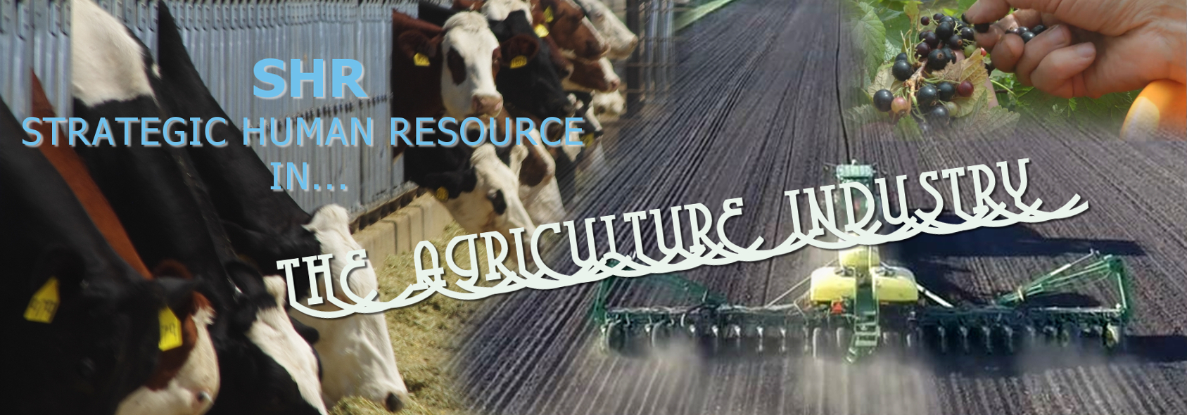 SHR Strategic Human Resource Careers Jobs inAgriculture